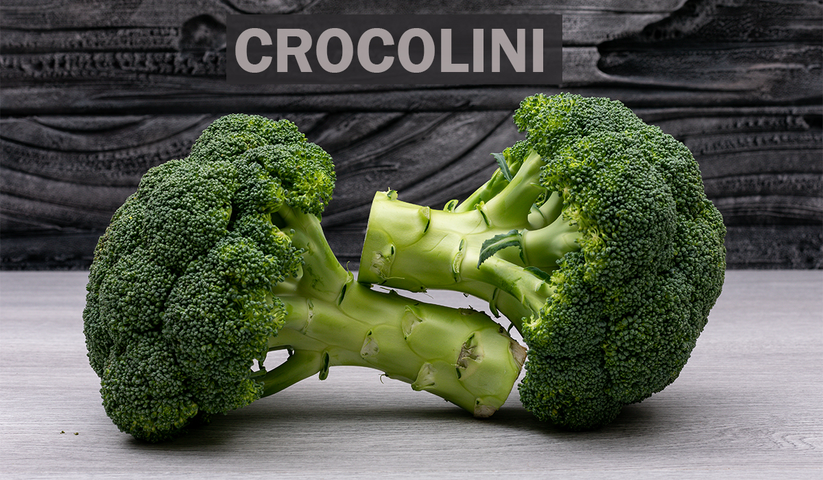 Crocolini