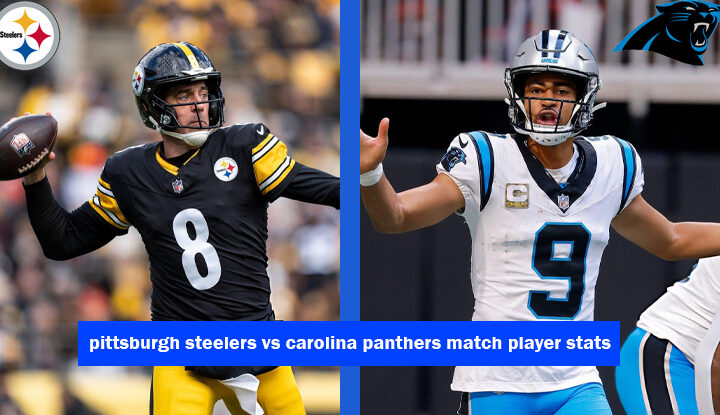 pittsburgh steelers vs carolina panthers match player stats