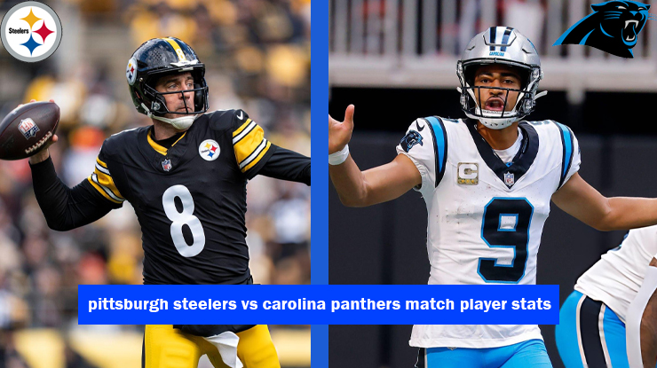 pittsburgh steelers vs carolina panthers match player stats