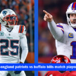 new england patriots vs buffalo bills match player stats