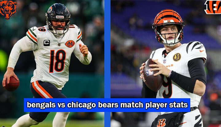 bengals vs chicago bears match player stats