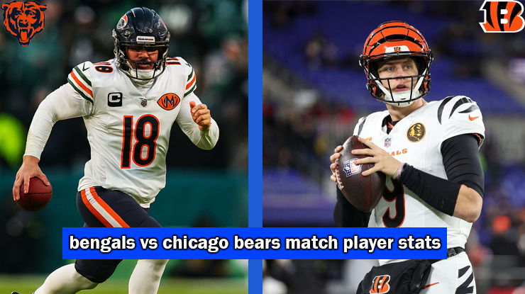 bengals vs chicago bears match player stats