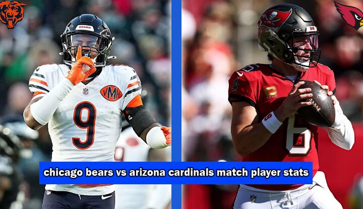 chicago bears vs arizona cardinals match player stats