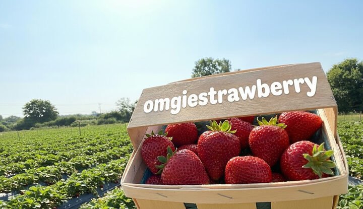 Omgiestrawberry