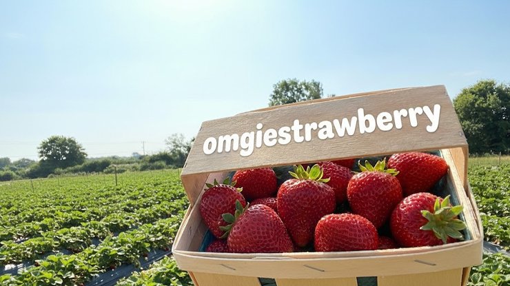 Omgiestrawberry