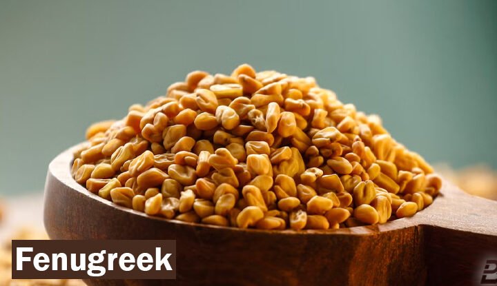 Fenugreek